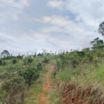 Bán nhanh 1,1ha sổ đủ -Đắk Nia – Gia Nghĩa- Giá 790 triệu