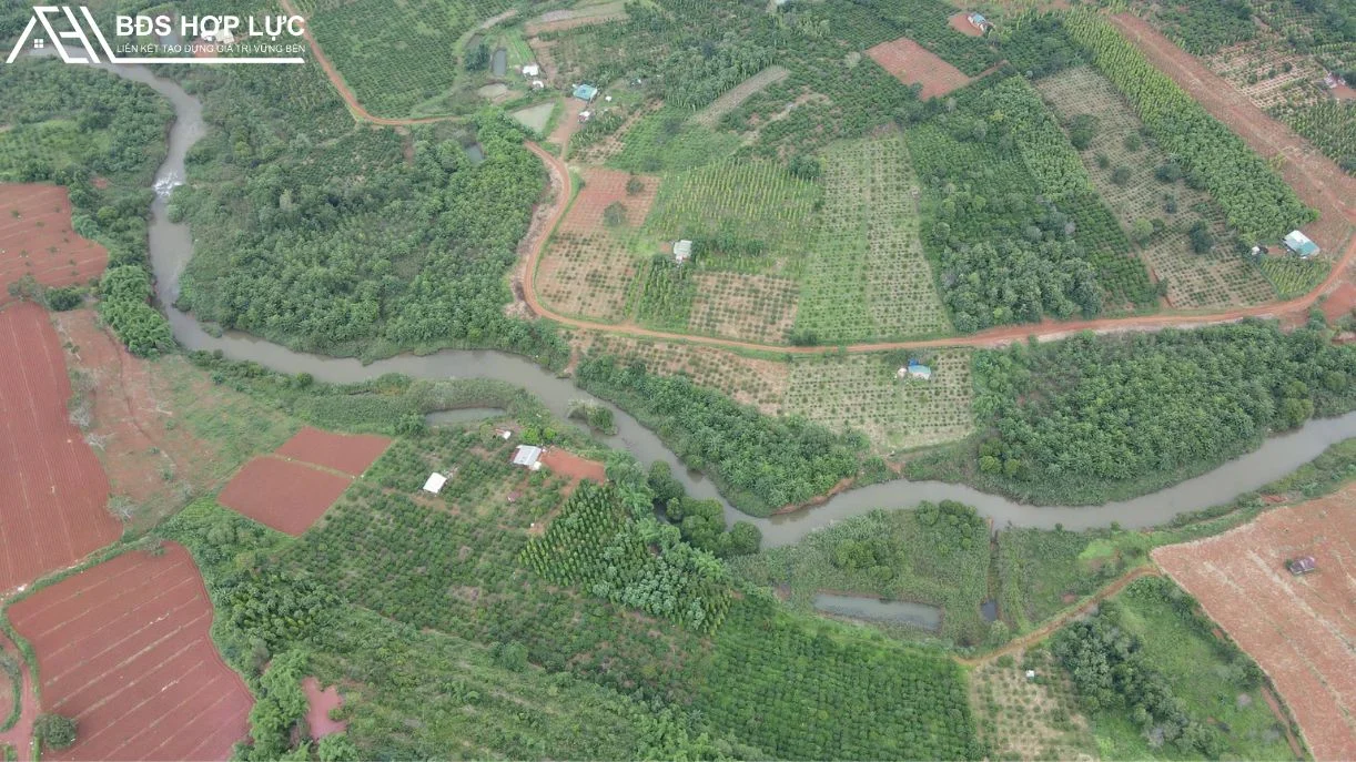 12HA Tại Trường Xuân Sổ Hiện 1,5KM Đường