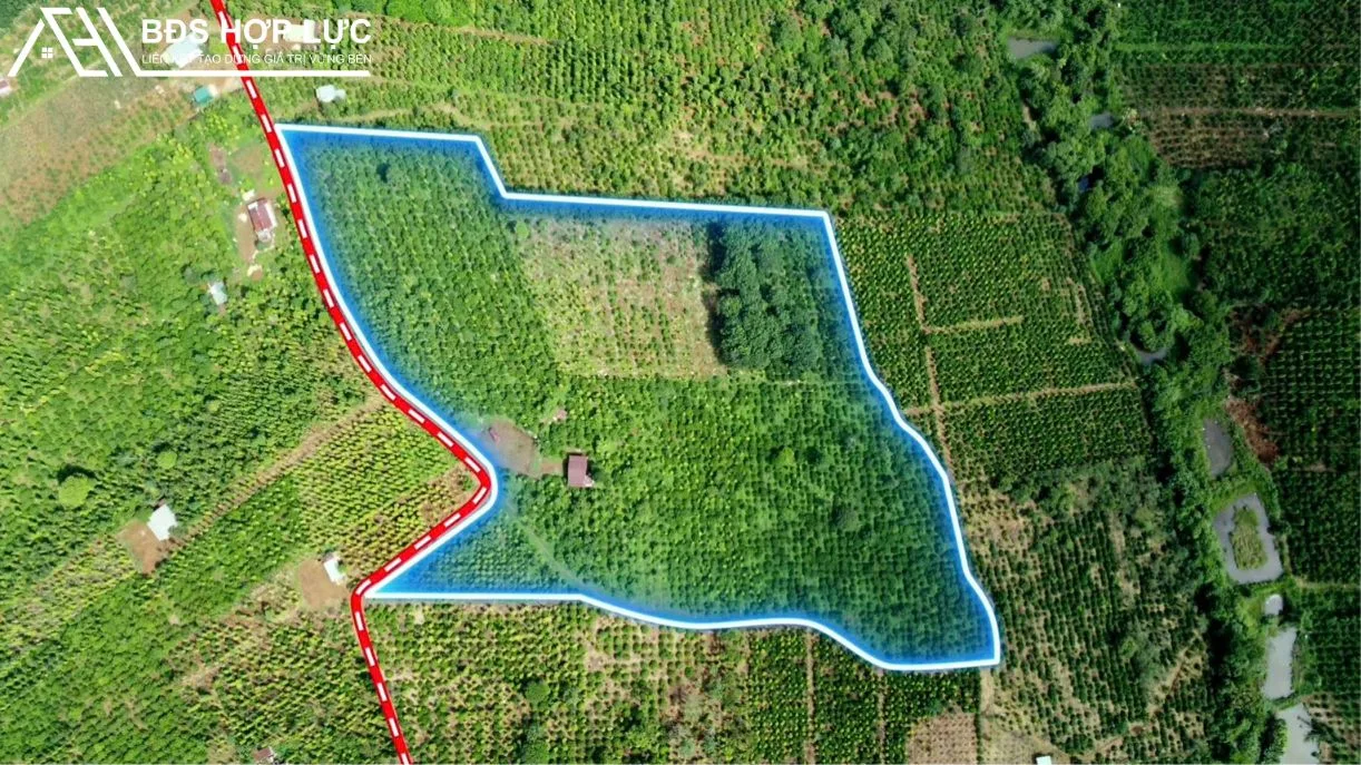 BÁN 3HA CÀ PHÊ THU MẠNH 200M ĐƯỜNG LÊN ĐƯỢC THỔ CƯ