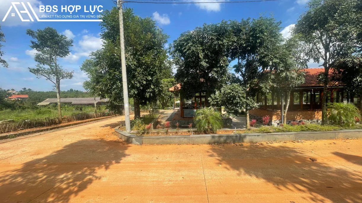 Bán 2 Lô Đất Nề Tại Khu Phức Hợp Nhân Cơ