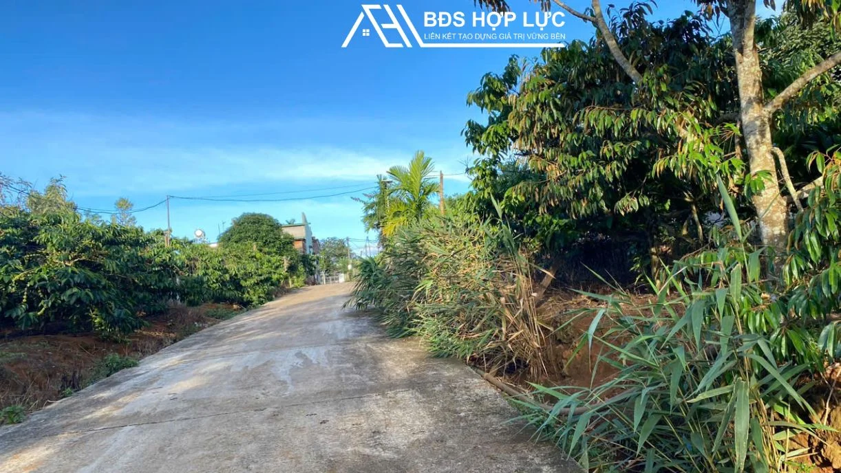 Bán lô đất nền phường nghĩa phú diện tích 8×43 có 100m thổ cư