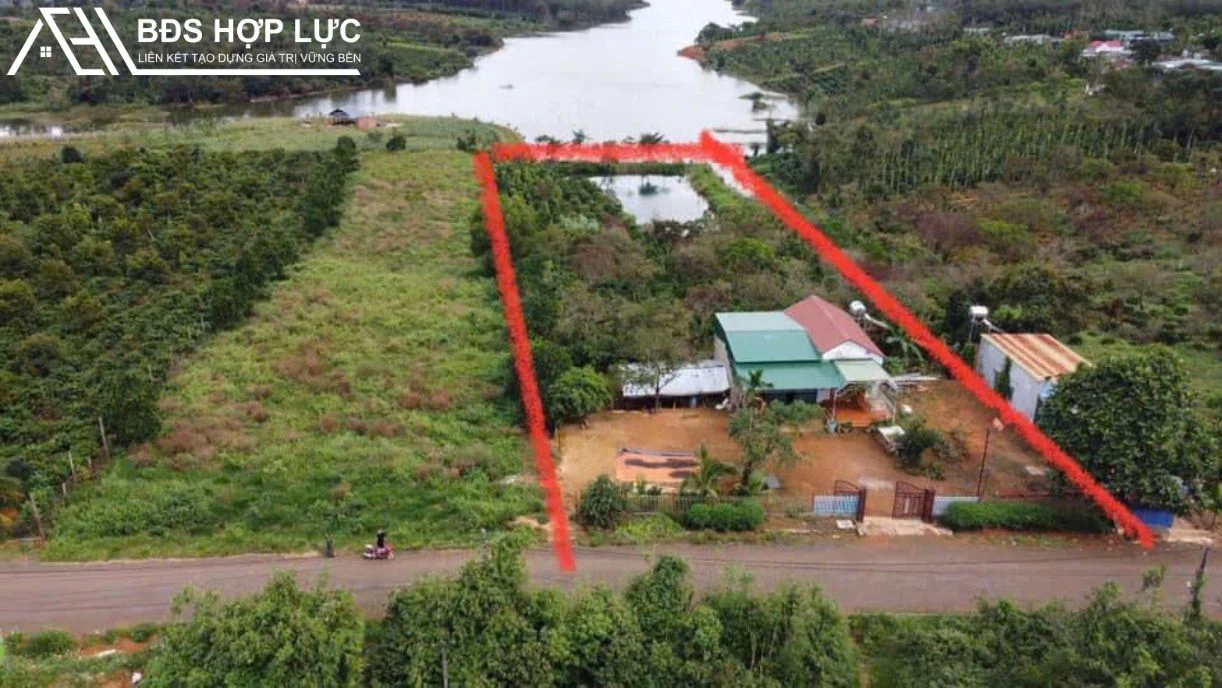 Lô đất diện tích 8448M²  Có 37m mặt tiền đường nhựa sâu 170 m nở hậu ngang 60m