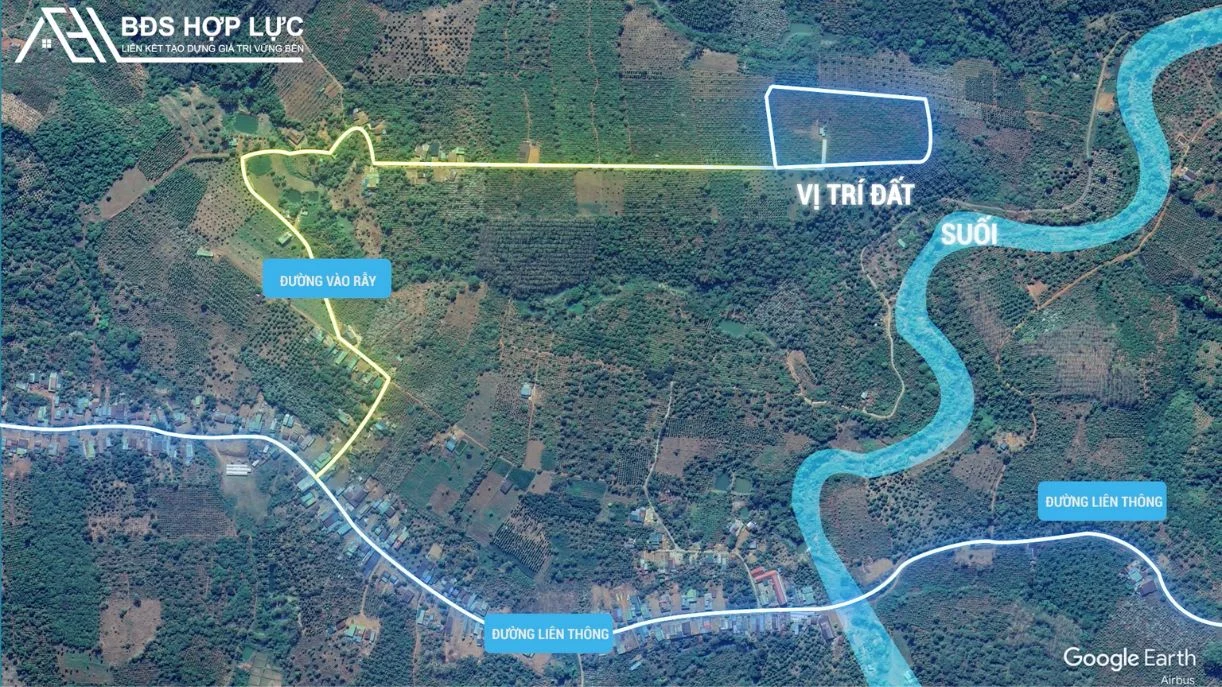 QUẢNG TÂN- TUY ĐỨC BÁN LÔ ĐẤT CÀ PHÊ THU CHÍNH
