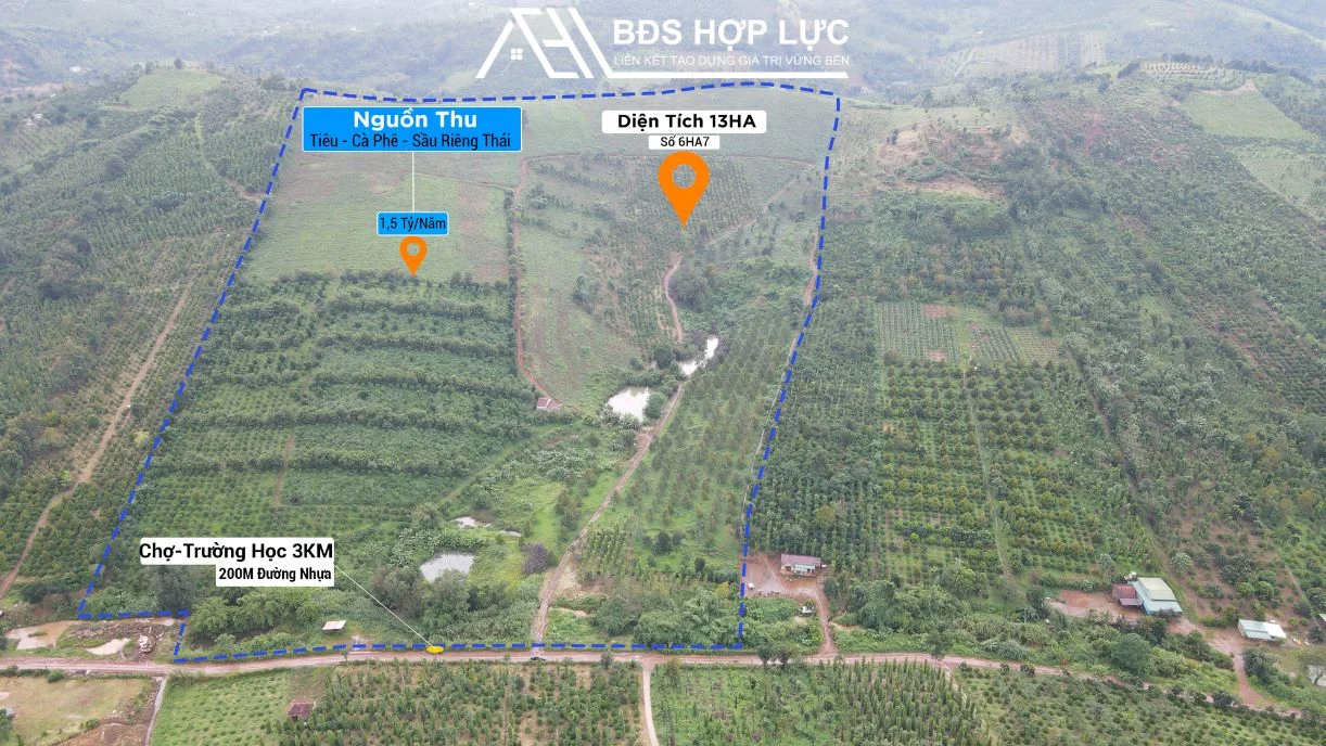 Bán Lô Rẫy 200M Đường Nhựa Diện Tích 13 HA Giá 9 Tỷ 2 Nguồn Thu Mạnh