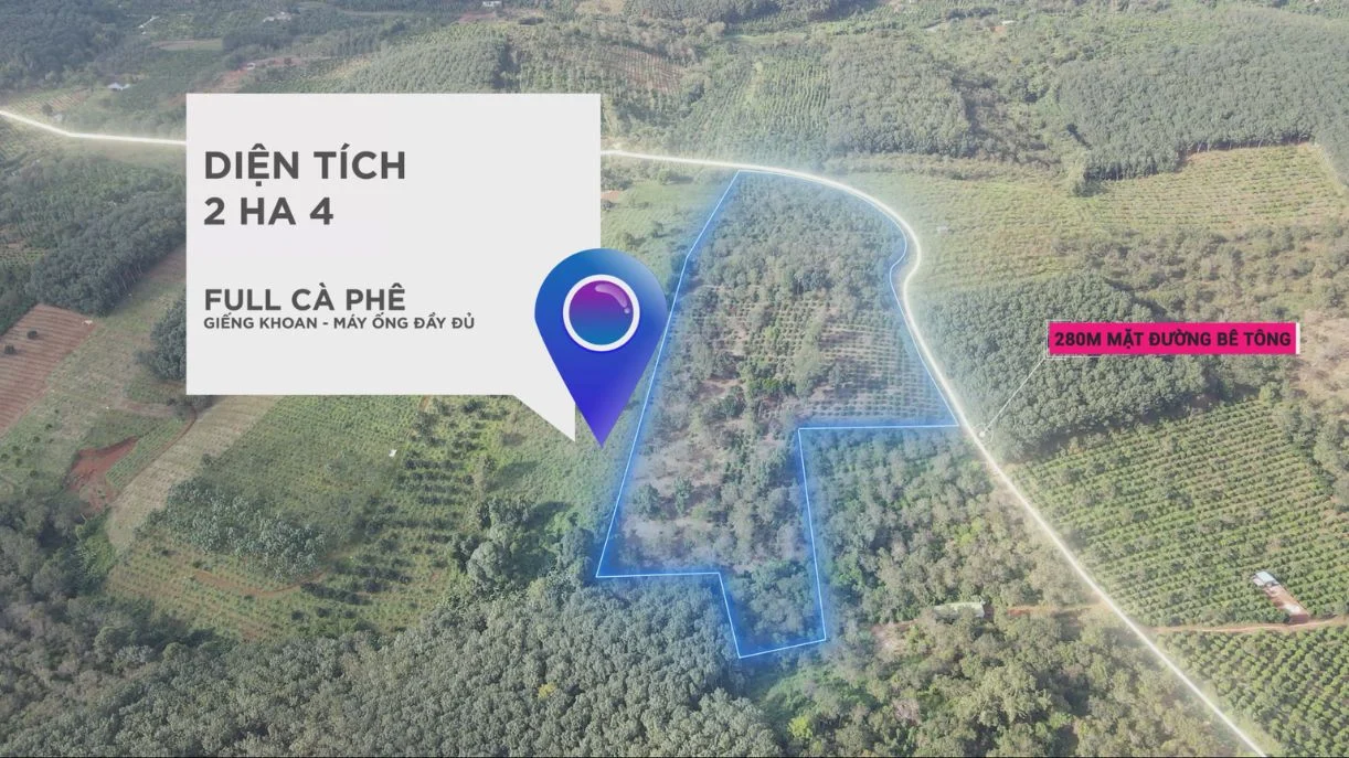 Bán Rẫy Diện tích 2HA4 Full Cà Phê Bám Đường 280M Tại Nghĩa Thắng