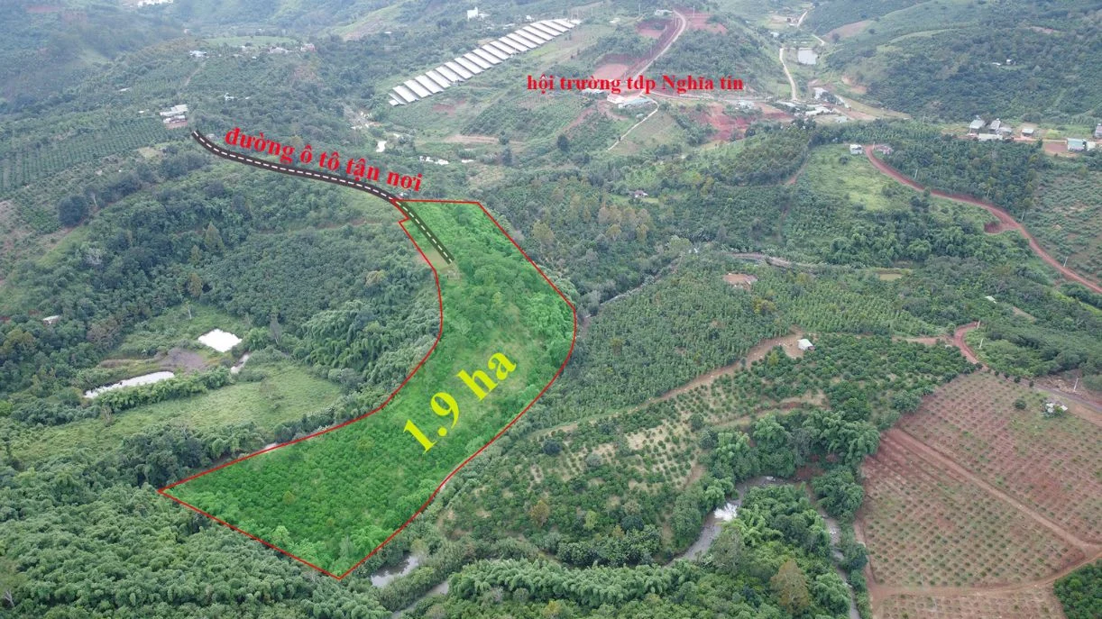 ĐẤT RẪY GIA NGHĨA CÓ NGUỒN THU GIÁ CHỈ 1,3 tỷ/ha