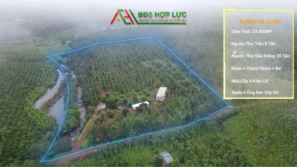 Mảnh đất nông nghiệp lý tưởng tại Đắk Ha, Cơ hội đầu tư sinh lời hấp dẫn