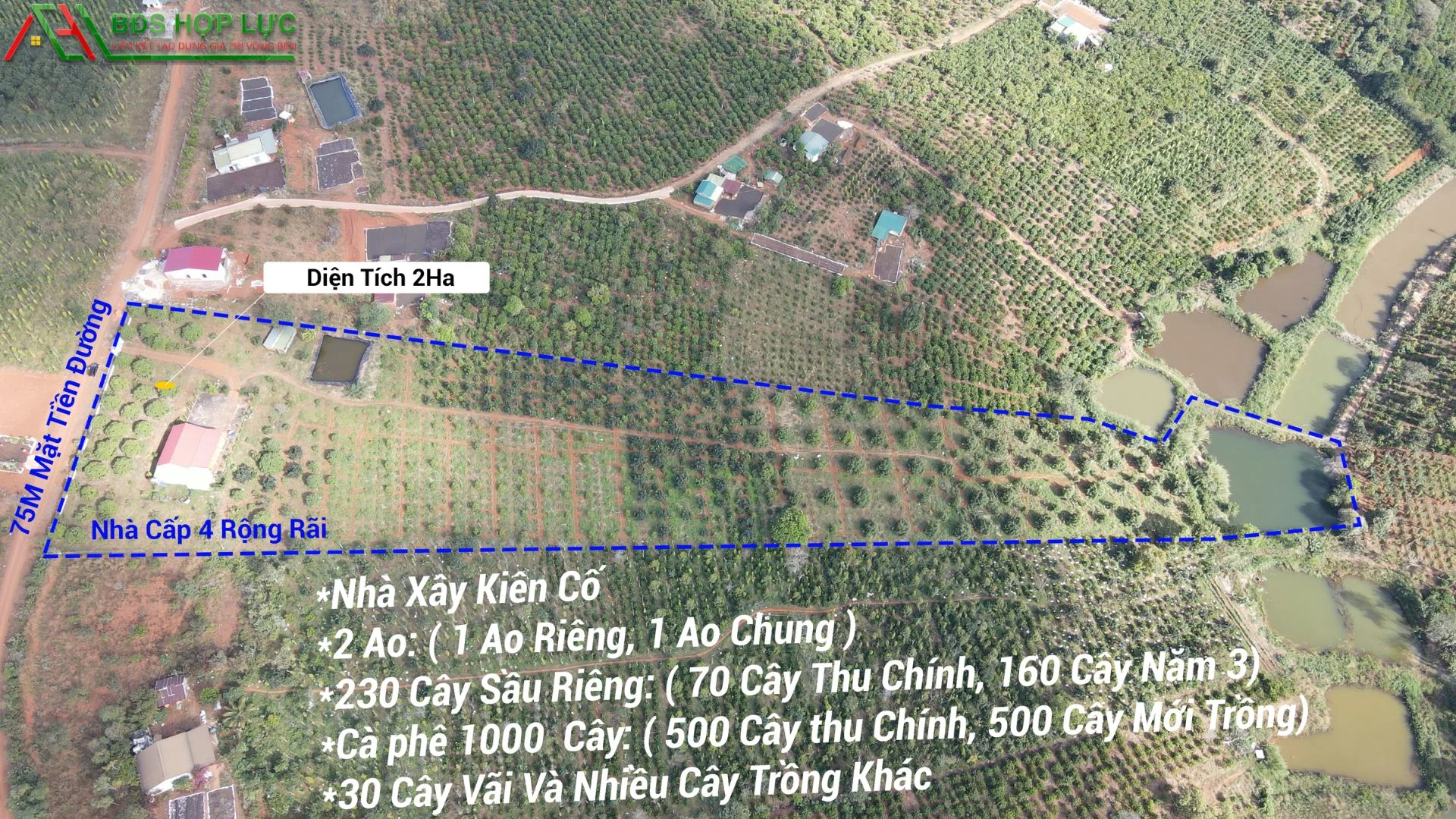Siêu Phẩm Vườn Cây Ăn Trái Đầy Đủ Tiện Nghi