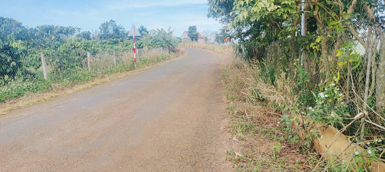 Bán Lô Đất Diện Tích 30Ha Tại Thôn 2 Đắk Ha Giá 12 Tỷ