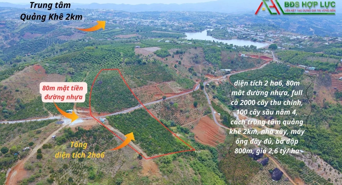 BÁN  2HA6 RẪY QUẢNG KHÊ  CÀ PHÊ + SẦU RIÊNG SIÊU ĐẸP 