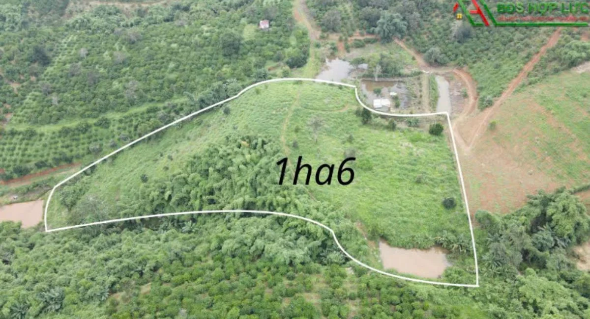 Cần Bán Lô Đất 1,6 ha tại Quảng Khê, Đắk Glong – Giá Chỉ 1,8 Tỷ
