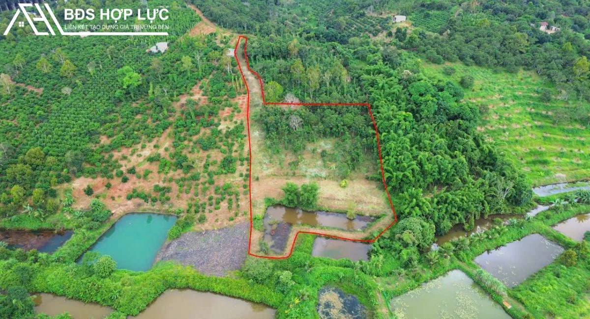 Chuyển công tác nên cần chuyển lại lô đất rẻ 5 sào đất vườn phường Nghĩa Tân