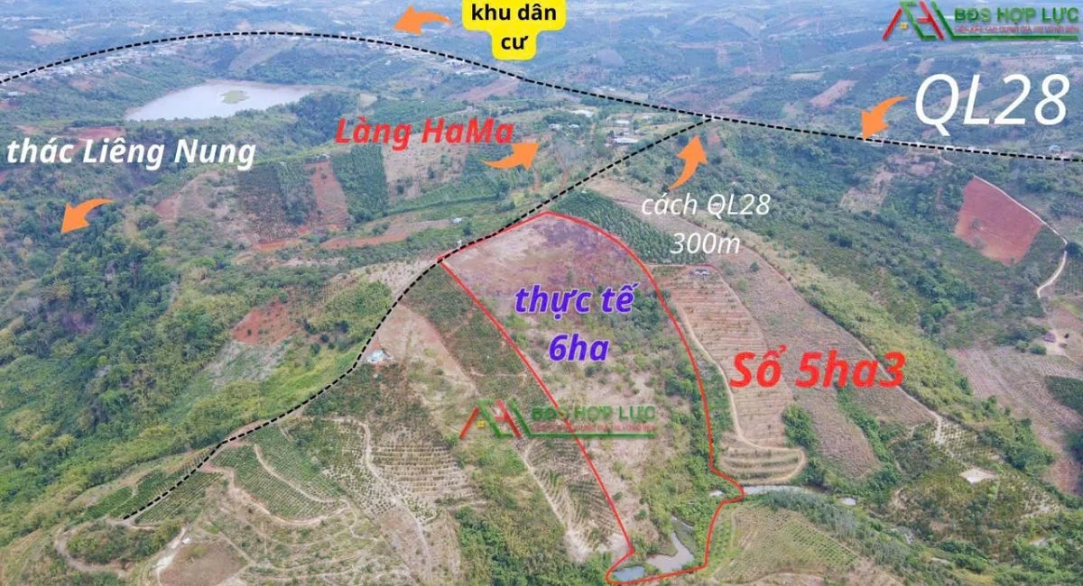 Bán 6ha Đắk Nia –Gần Quốc Lộ 28- Giá 5tỷ4