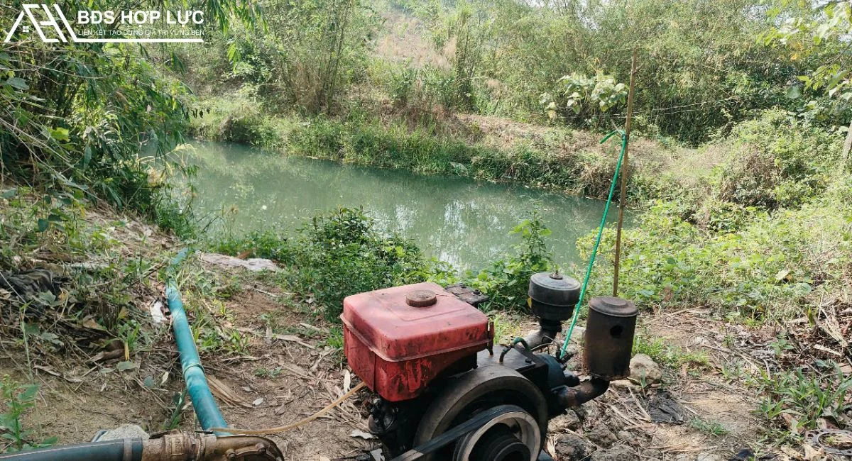 BÁN ĐẤT 2 HA 1 CÓ CÀ PHÊ – GIÁ TỐT 2 TỶ 2 ĐÃ BÁN