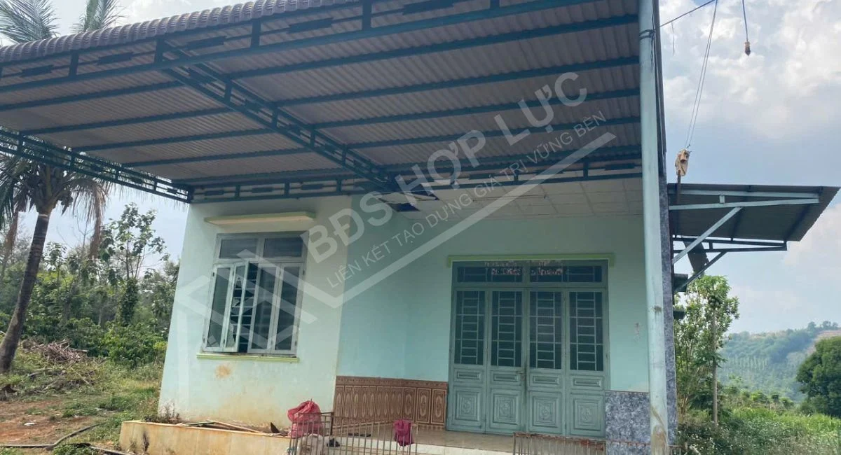 BÁN RẪY 3.5HA FULL CÀ PHÊ & SẦU RIÊNG TẠI ĐẮK HA – ĐĂK GLONG – ĐĂK NÔNG – 4,5 tỷ