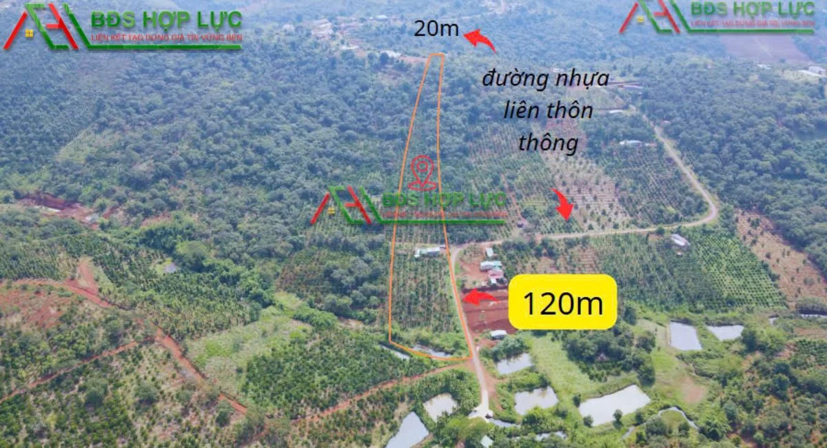 BÁN RẪY ĐẸP – ĐẮK RMOAN, GIA NGHĨA, ĐẮK NÔNG