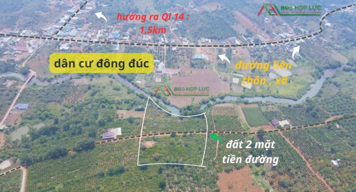 CẦN BÁN RẪY 1HA – TRƯỜNG XUÂN, ĐẮK SONG, ĐẮK NÔNG