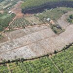 ĐẤT RẪY QUẢNG THÀNH 5.8HA  CÓ SỔ GIÁ RẺ 850 TR/HA
