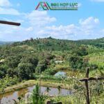 Sở Hữu Ngay Khu Vườn Nghỉ Dưỡng Rộng 2Ha Tại Trường Xuân