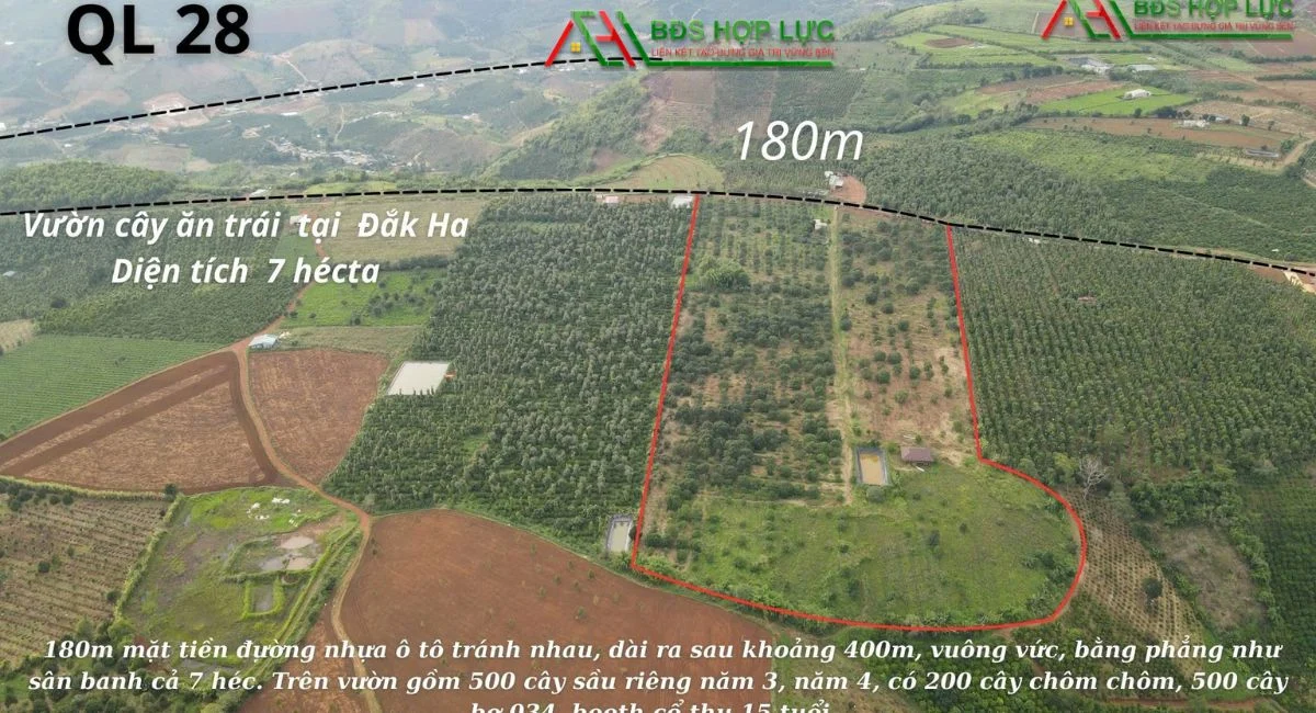 ĐẤT 7HA GIÁ TỐT – MẶT TIỀN ĐƯỜNG NHỰA – CÓ SẴN VƯỜN TRÁI CÂY