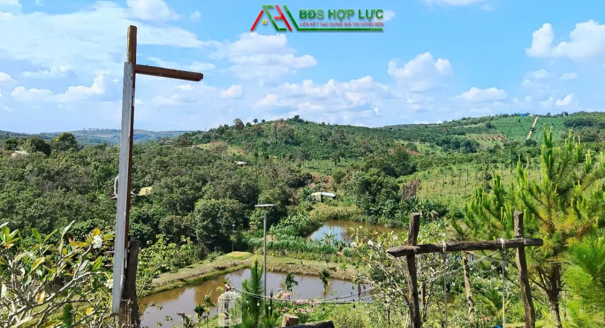 Sở Hữu Ngay Khu Vườn Nghỉ Dưỡng Rộng 2Ha Tại Trường Xuân