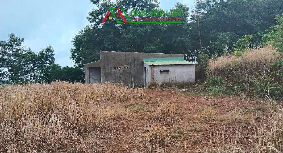 BÁN LÔ ĐẤT 8HA GIÁ CHỈ 3,1 TỶ – ĐẮK HA, ĐẮK G’LONG, ĐẮK NÔNG