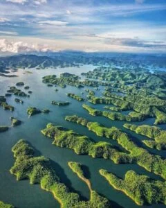 Bất Động Sản Đắk Nông – Gia Nghĩa 2025: Đánh Thức Tiềm Năng Vàng Của Miền Đất Cao Nguyên