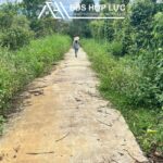 Bán Rẫy Full Cà Phê Và Tiêu Diện Tích 3 Ha 1