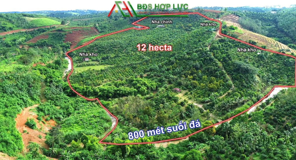 12 Ha Siêu phẩm Nghỉ Dưỡng Sinh Thái Kết Hợp Nông Nghiệp Tại Đắk Song-Lâm Đồng