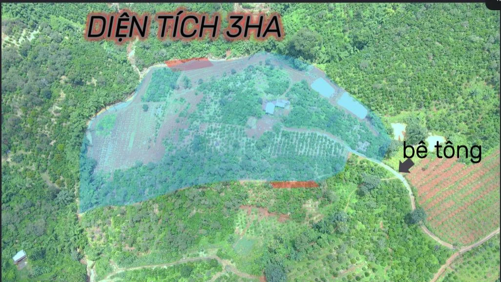 CẦN BÁN LÔ ĐẤT 3HA VIEW SUỐI TẠI QUẢNG TÂN