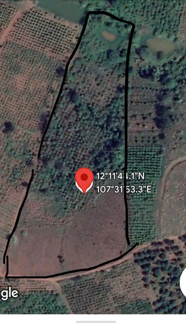 BÁN GẤP LÔ 1,6HA – 1,3 TỶ
