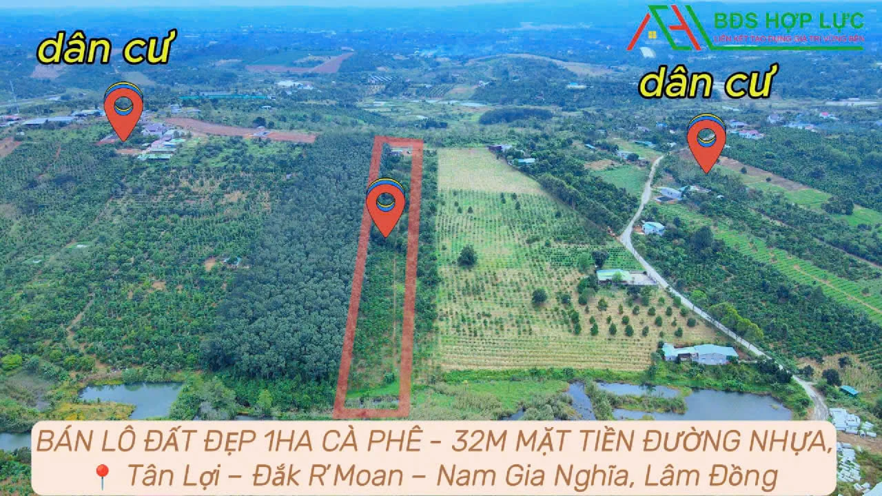 BÁN LÔ ĐẤT ĐẸP 1HA CÀ PHÊ – 32M MẶT TIỀN ĐƯỜNG NHỰA