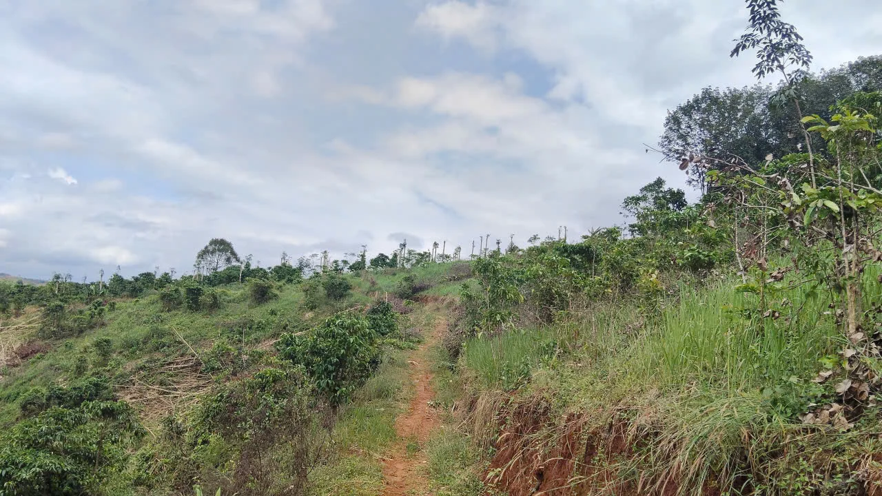 Bán nhanh 1,1ha sổ đủ -Đắk Nia – Gia Nghĩa- Giá 790 triệu