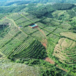 BÁN ĐẤT VƯỜN SẦU RIÊNG QUY MÔ LỚN – BẮC GIA NGHĨA, LÂM ĐỒNG