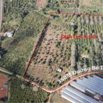 BÁN 5HA ĐẤT ĐẸP – MẶT ĐƯỜNG BÊ TÔNG – SÁT TRUNG TÂM GIA NGHĨA