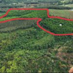 ĐẤT ĐẸP – GIÁ CHỈ 650tr/ ha
