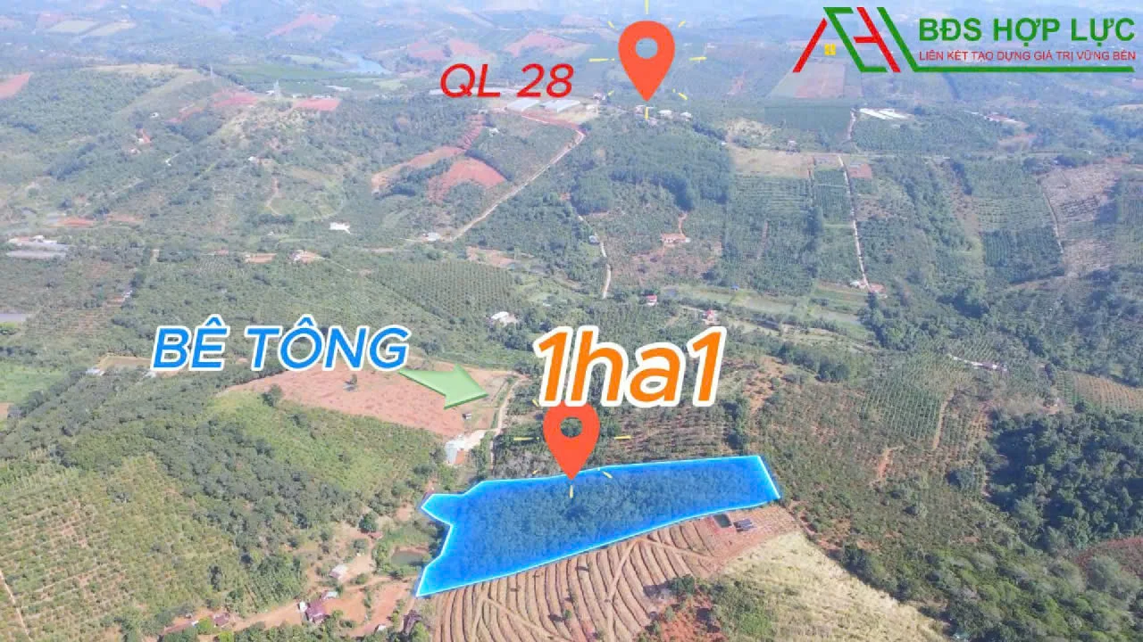 1,1HA – 60M MẶT TIỀN BÊ TÔNG – CÓ AO – CHỈ 1,2 TỶ