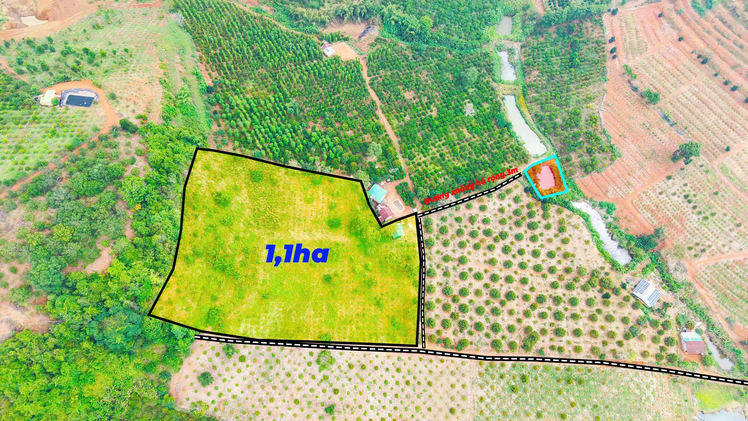 1,6HA CÀ PHÊ CHỈ 1,8 TỶ – ĐẤT BẰNG NHƯ SÂN BÓNG