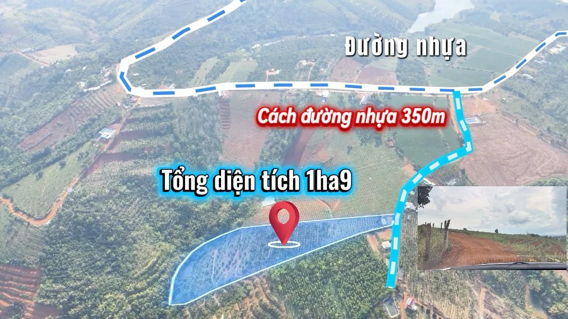 CHỈ 3,2 TỶ – SỞ HỮU NGAY 1,9HA ĐẤT KÍN NGUỒN THU TẠI GIA NGHĨA, LÂM ĐỒNG.