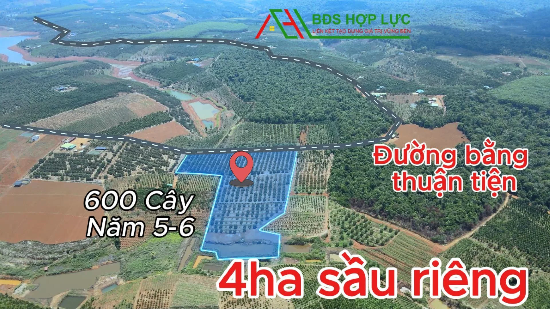 CÓ NGAY THU NHẬP KHI SỞ HỮU MẢNH SẦU RIÊNG TUYỆT ĐẸP NÀY