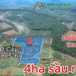 CÓ NGAY THU NHẬP KHI SỞ HỮU MẢNH SẦU RIÊNG TUYỆT ĐẸP NÀY