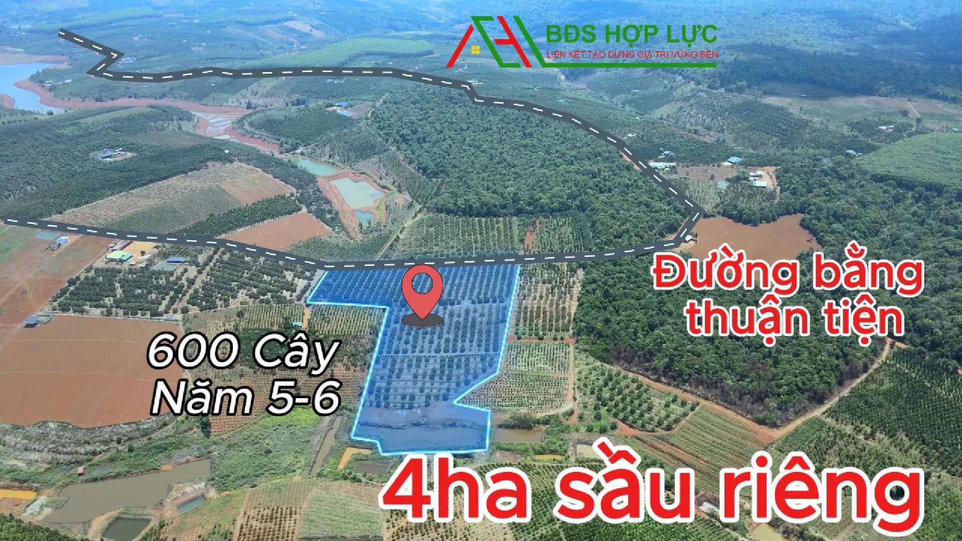 CÓ NGAY THU NHẬP KHI SỞ HỮU MẢNH SẦU RIÊNG TUYỆT ĐẸP NÀY