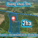 Đất đẹp 2 full tiêu, cà phê bám mặt đường nhưạ- mua là có thu ngay! Vị trí: Đắk Tíh, Tuy Đức, Lâm Đồng