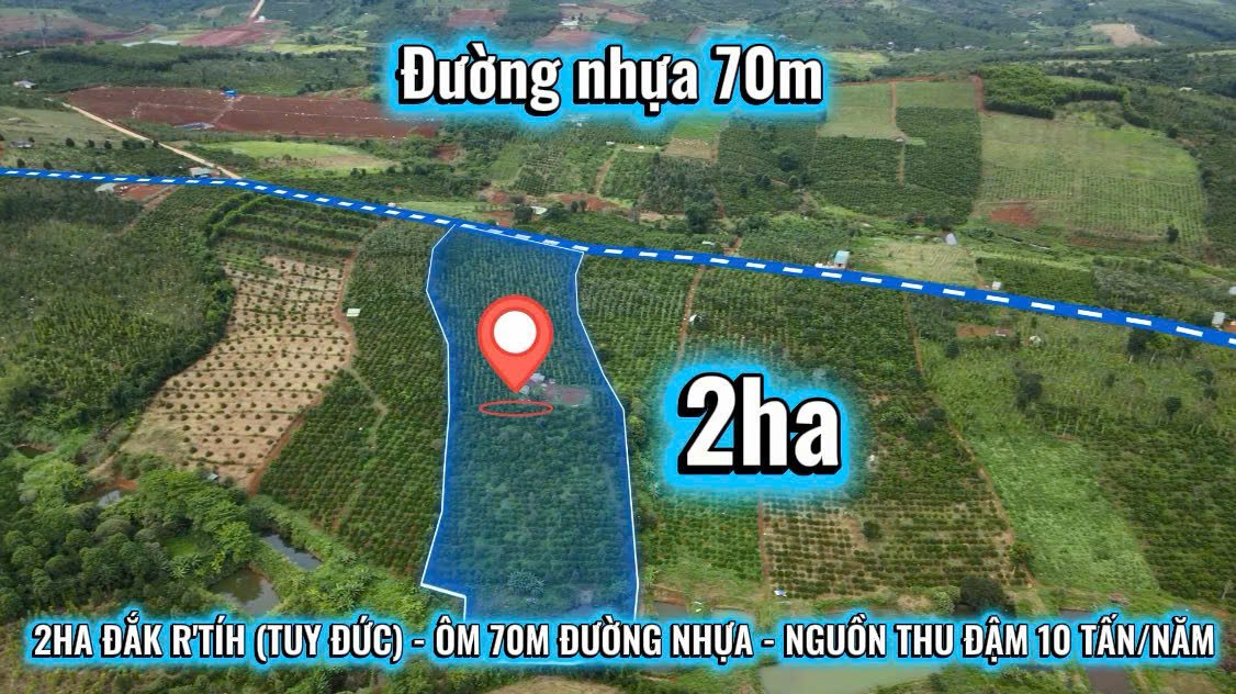 Đất đẹp 2 full tiêu, cà phê bám mặt đường nhưạ- mua là có thu ngay! Vị trí: Đắk Tíh, Tuy Đức, Lâm Đồng