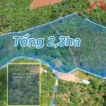 CHỈ 1,5 TỶ/HA – SỞ HỮU NGAY 2,3HA CÀ PHÊ ĐANG CHO THU NHẬP