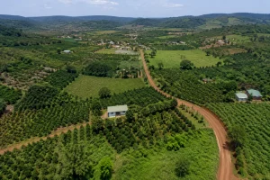 Toàn cảnh một khu đất tại Nhân Cơ, Đắk Nông với cảnh quan nông thôn Việt Nam, thể hiện không gian tài sản và bối cảnh địa phương để người đọc hình dung khi tìm hiểu đất.
