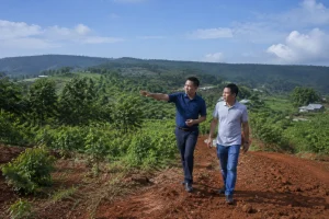 Người mua đang khảo sát một khu đất tại Đắk Nông với cảnh quan đồi đất đỏ bazan, cây xanh và một chuyên viên bất động sản trao đổi tại thực địa