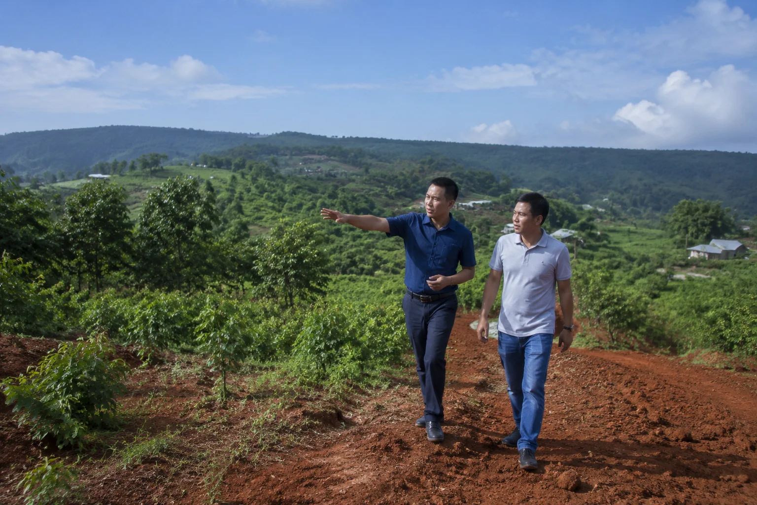 Người mua đang khảo sát một khu đất tại Đắk Nông với cảnh quan đồi đất đỏ bazan, cây xanh và một chuyên viên bất động sản trao đổi tại thực địa