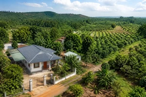 Toàn cảnh một khu vực bất động sản tại Đắk Nông thể hiện sự khác biệt giữa không gian sinh sống và khu đất khai thác nông nghiệp, với nhà ở hiện đại gần khu dân cư và vùng cây xanh