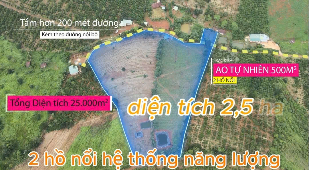 BÁN 2,5 HA ĐẤT NÔNG NGHIỆP – BẮC GIA NGHĨA